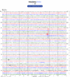 Helicorder image archive