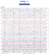 Helicorder image archive