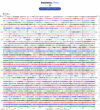 Helicorder image archive