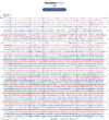 Helicorder image archive