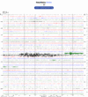 Helicorder image archive