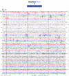 Helicorder image archive