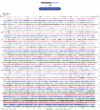Helicorder image archive