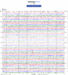 Helicorder image archive