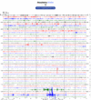 Helicorder image archive